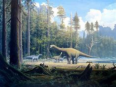 Europasaurus and a Jurassic Mystery