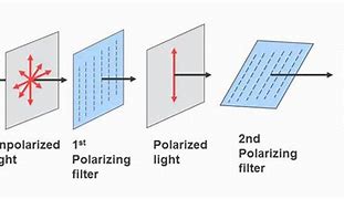 Image result for Polarized Effect