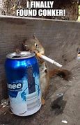 Image result for Squirrel Party Meme