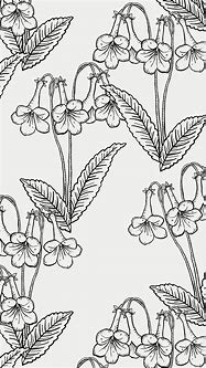 Image result for White Flower iPhone Wallpaper