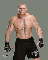 Image result for Brock Lesnar Costume