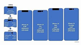 Image result for iPhone 11 Size in mm