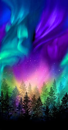 Timeless Treasures Aurora - Light over the Forest - 24" x 44" PANEL