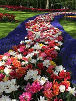 Image result for Beautiful Gardens Amsterdam Netherlands