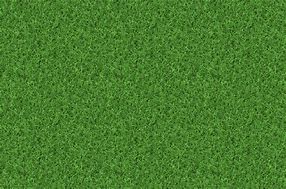 Image result for Grass Wall Texture for Photoshop