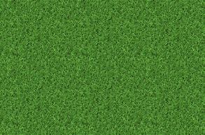 Image result for Cricket Gras Texture