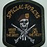 Image result for Special Forces US Flag Patch