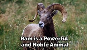 Image result for Meaning of Ram