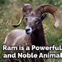 Image result for Meaning of Ram