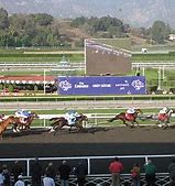 Image result for Breeders' Cup Facebook Photos