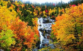 Image result for FALL SENERY