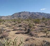 Image result for Arizona Desert Scenes