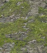 Image result for Grass Rock Texture Seamless