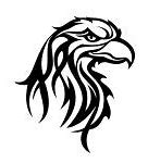 Image result for Eagle Head Line Drawing