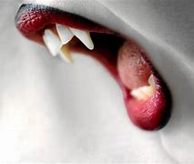 Image result for Vampire Teeth with Blood