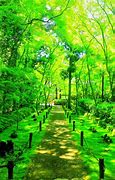 Image result for Sony Nature Japan