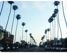 Image result for Famous Places in La
