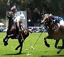 Image result for Prince Harry Polo Match