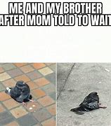 Image result for Pigeon Shit Meme