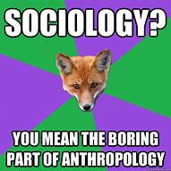 Image result for Sociology Memes