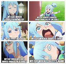 Image result for Aqua Anime Memes