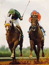 Image result for Waite Gate Horse Racing