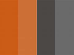 Image result for iPhone Pro Colors Grey