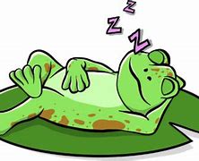 Image result for Kermit the Frog Sleeping