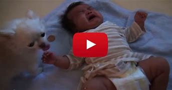 Image result for Baby Crying Funny