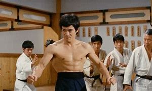 Image result for Japanese Martial Arts Movies