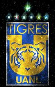 Image result for Tigres Oficial