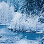 Image result for Winter Wallpaper 1600X900