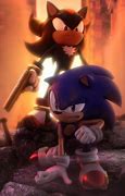 Image result for Shadow Likes Animal Sonic