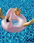 Image result for Inflatable Animal Pool Floats