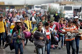 Image result for Noticias De Migracion