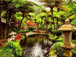 Image result for japanese gardens wallpapers hd
