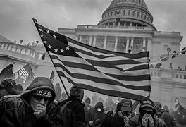 Image result for Capitol Riot Police