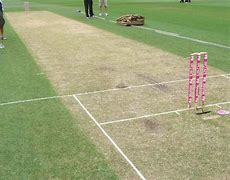 Image result for A Cricket Pitch