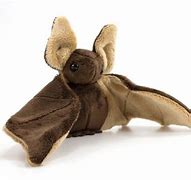 Image result for Cute Brown Bat Plush