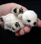 Image result for The Cutest Baby Animals Ever