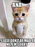 Image result for Don't Be Mad Meme