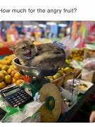 Image result for How Much for the Angry Fruit Meme