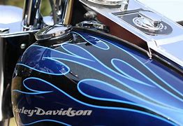 Image result for Harley-Davidson Fuel Wiring Clips