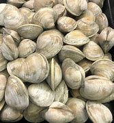 Image result for Little Neck Clams