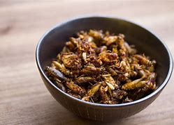 Image result for Cricket Food