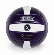Image result for Light Purple Volleyball Ball Squish