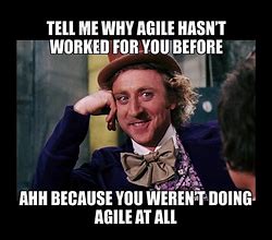 Image result for Agile Quotes Funny