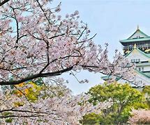 Image result for Osaka City Japan