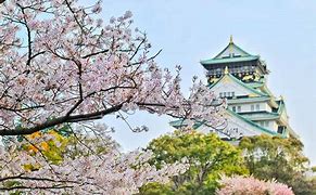 Image result for Osaka Cute Attractions