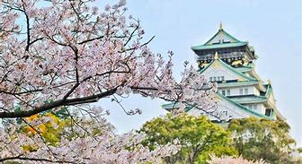 Image result for Osaka Japan Coumtry